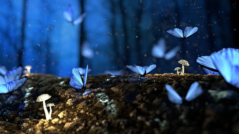Elven Lanterns in a Fantasy Forest